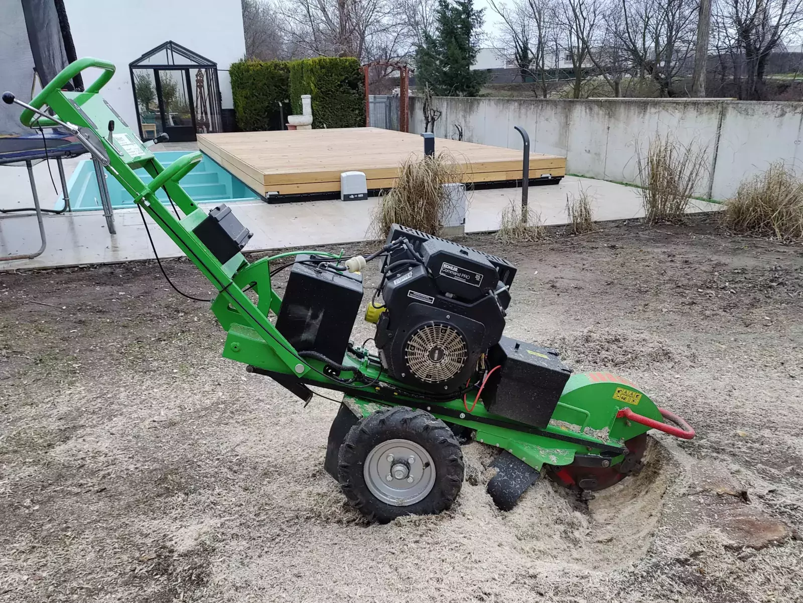 Baumstumpf entfernen Alte Hecke entfernen