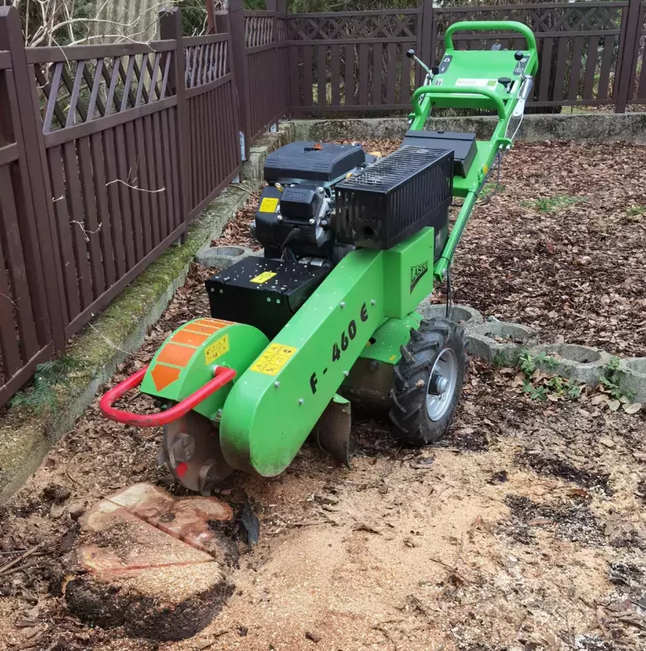 Baumstumpf entfernen Alte Hecke entfernen