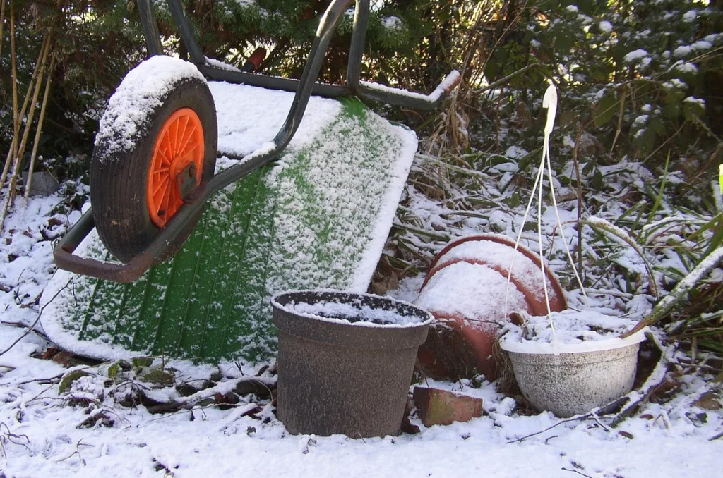 Pflege des Gartens im Winter