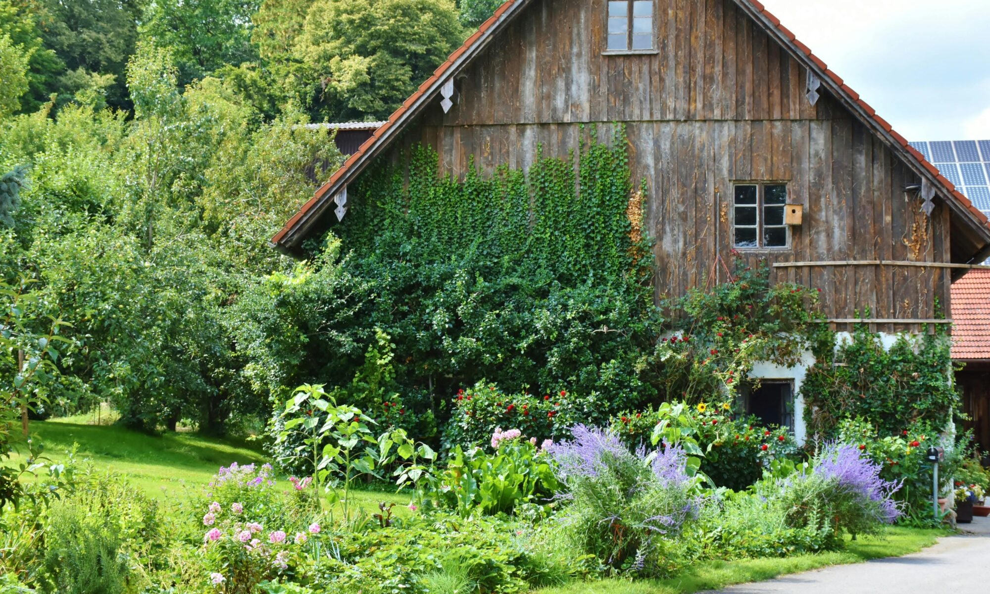 Gartenarbeiten im Frühling